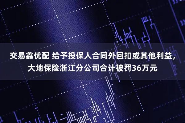 交易鑫优配 给予投保人合同外回扣或其他利益，大地保险浙江分公司合计被罚36万元