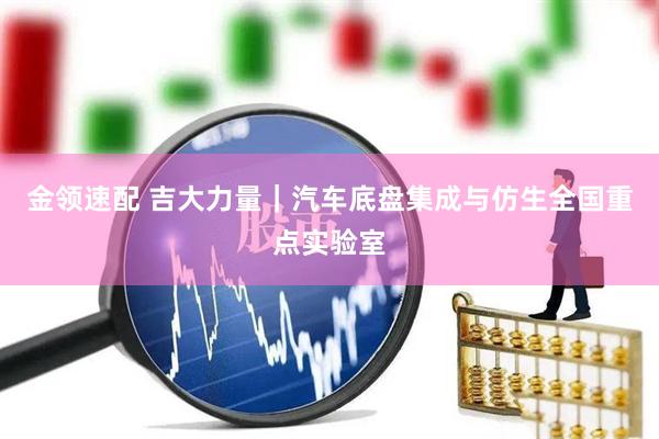 金领速配 吉大力量｜汽车底盘集成与仿生全国重点实验室